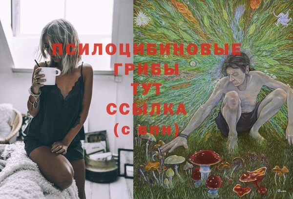 мяу мяу кристалл Костерёво